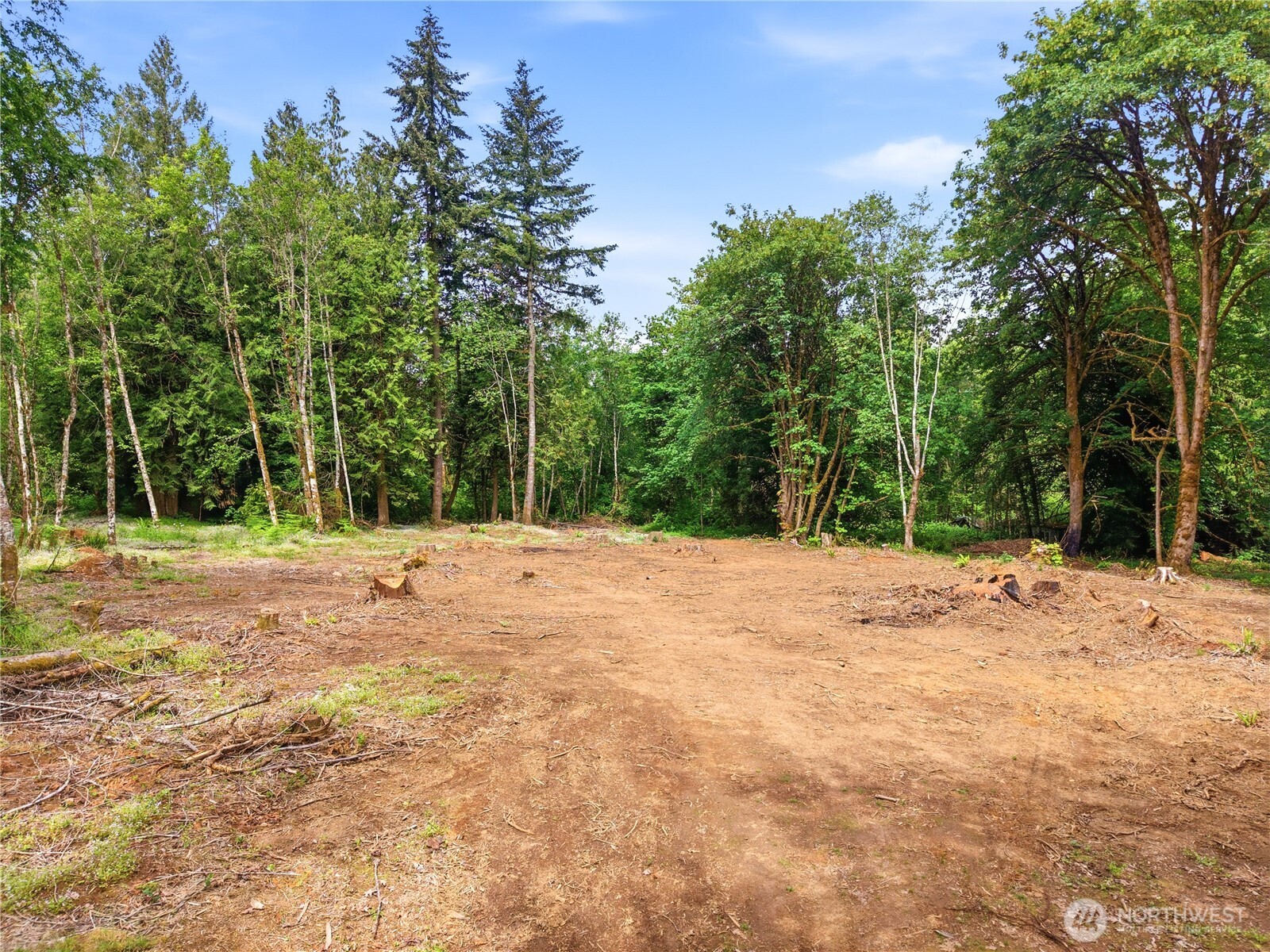 210 Vermillion Road Chehalis, WA 98532 - Photo 2 of 18 a view of a backyard of a house