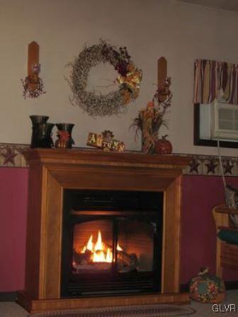 225 West Side Road Lehighton, PA 18235 - Photo 13 of 42 Family Room, Propane Fireplace