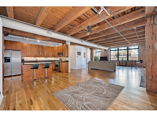14 North Peoria Street, Unit 3H Chicago, IL 60607 - Photo 3 of 24