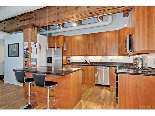 14 North Peoria Street, Unit 3H Chicago, IL 60607 - Photo 10 of 24
