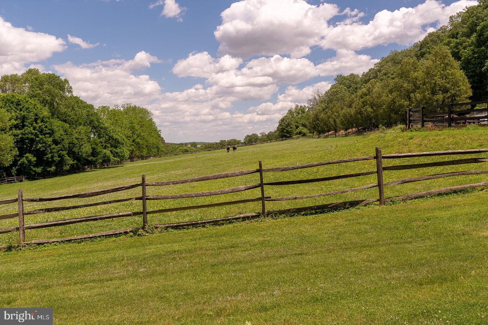 901 Stone Hill Road Conestoga, PA 17516 - Photo 12 of 45 Gallery Image 12