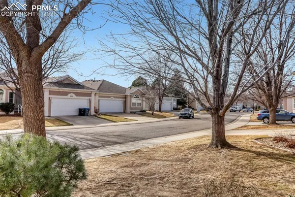 a view of a white house with a large tree