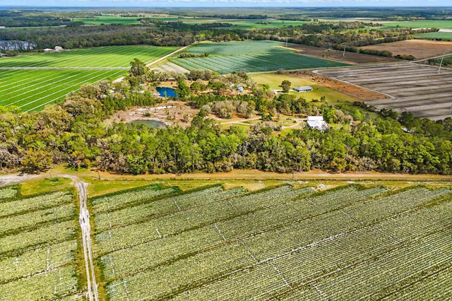 $895,000 | 290 Federal Point Road, East Palatka, FL 32131