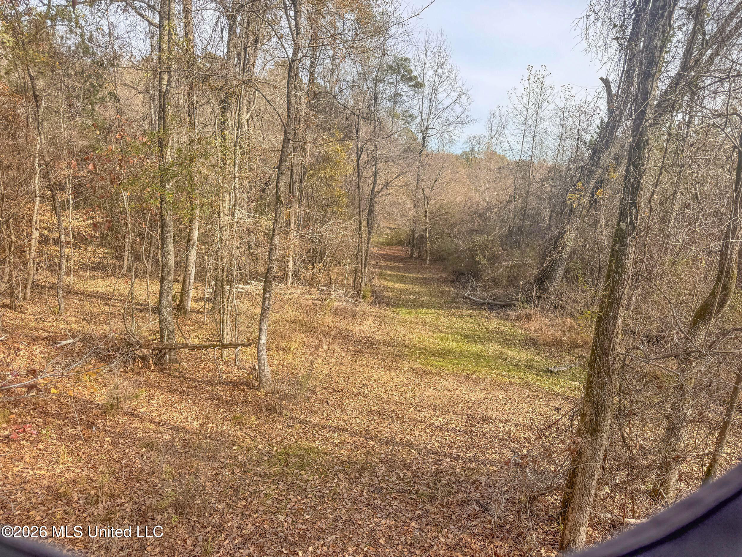 Chinqupin Road Lexington, MS 39095 - Photo 133 of 210 9chqpn37