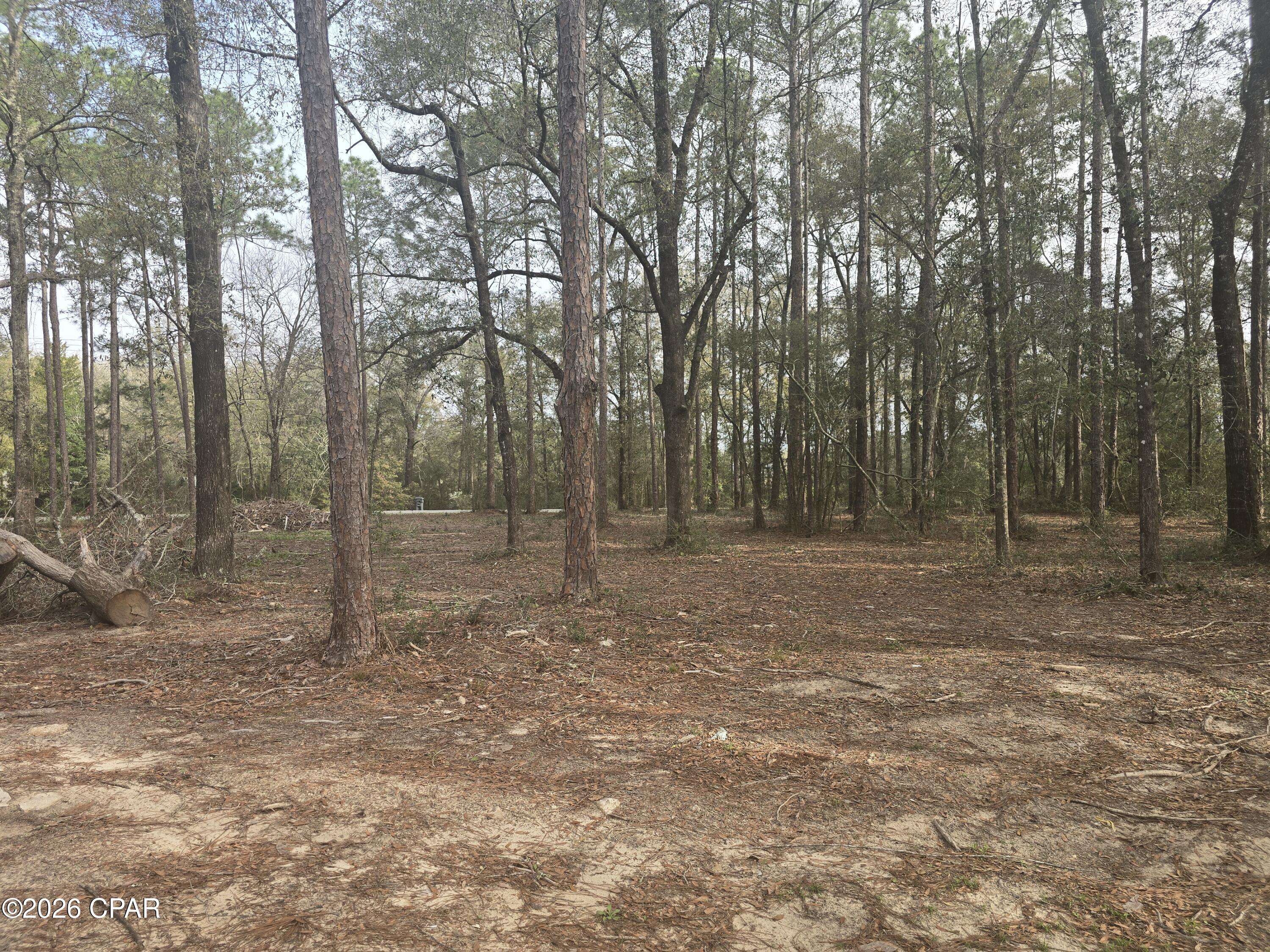 445 Cat Island Road DeFuniak Springs, FL 32433 - Photo 17 of 17