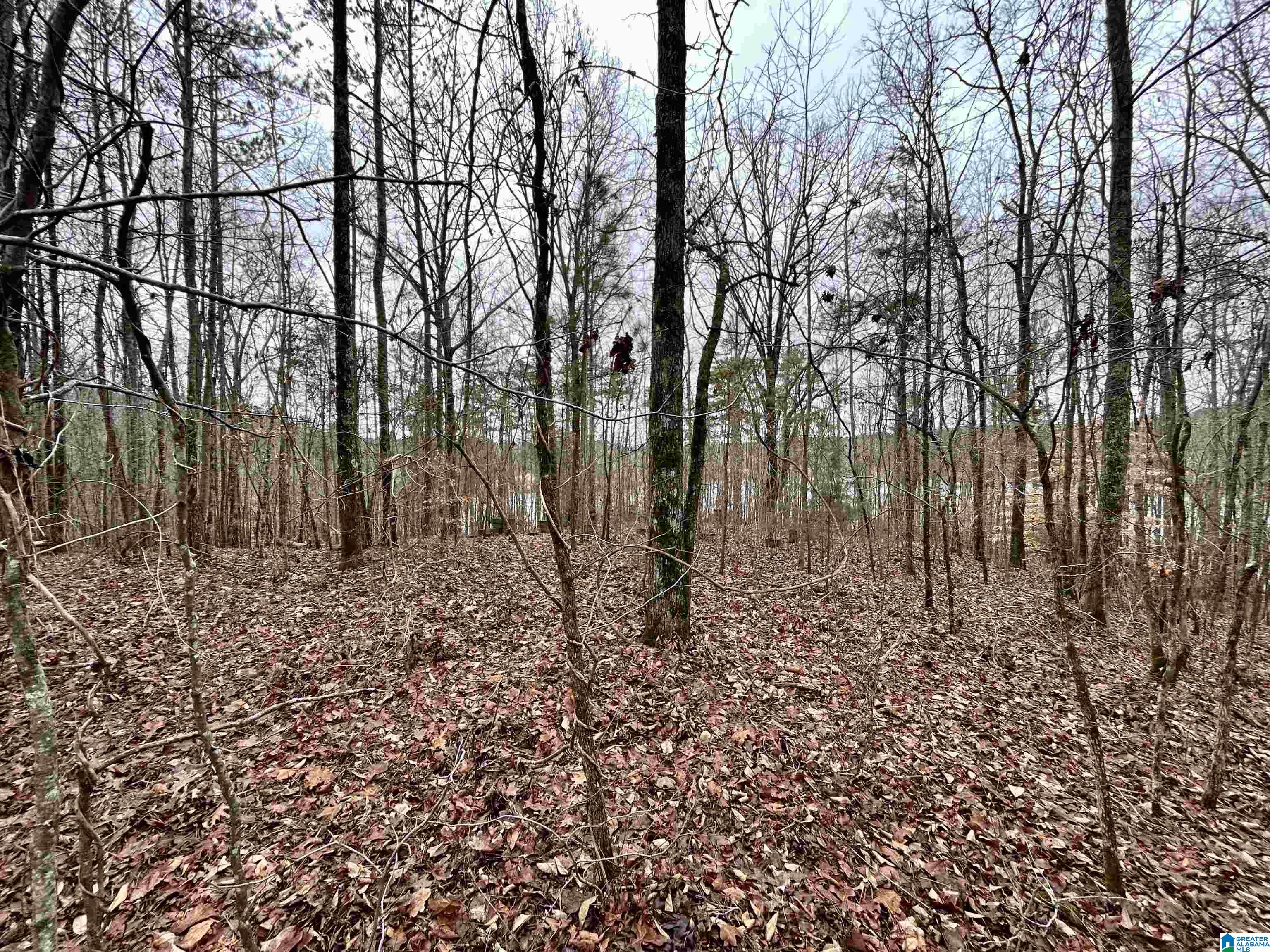 0 Olive Branch Road, Unit 25 Ashland, AL 36251 - Photo 10 of 15