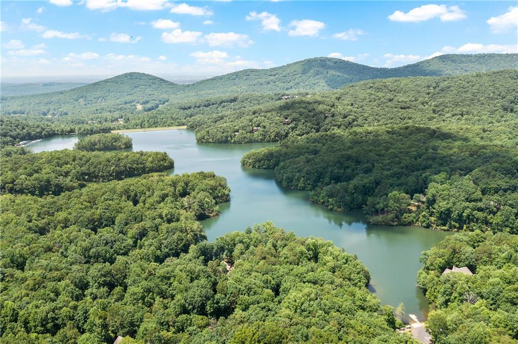 37 Petit Ridge Drive Big Canoe, GA 30143 - Photo 10 of 28