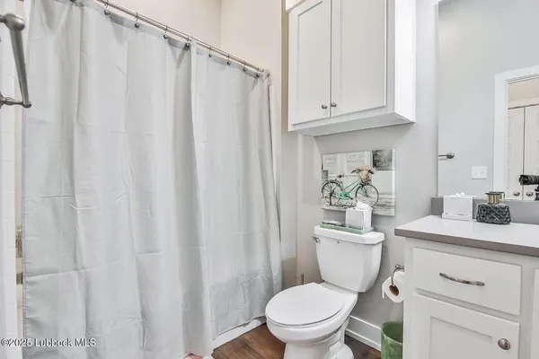 a bathroom with a sink a toilet and shower curtain