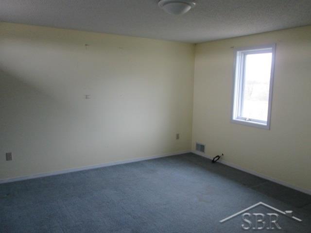 8821 East Coleman Road Coleman, MI 48618 - Photo 19 of 25 31314003-18.JPG