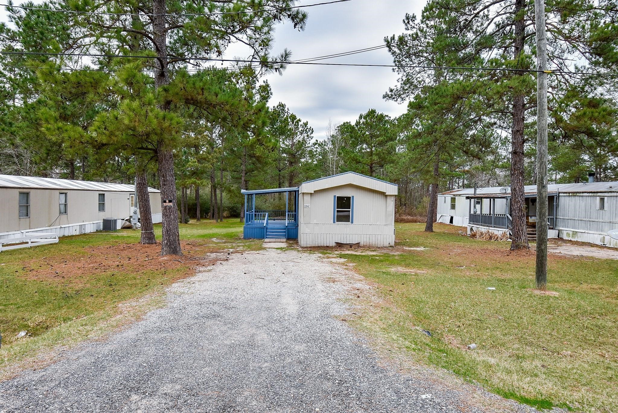 12842 Roy Harris Loop Conroe, TX 77306 - Photo 7 of 36 a view of a yard with a house and large tree