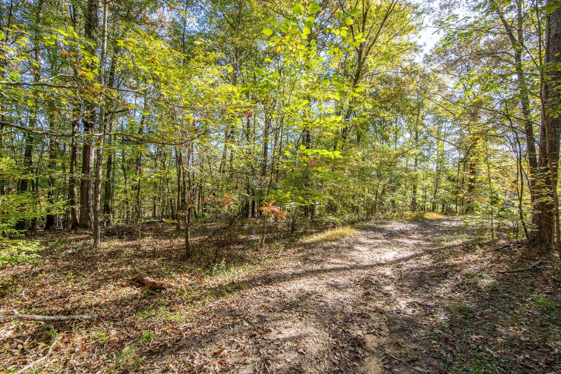 3095 Buster Road Middleton, TN 38052 - Photo 29 of 36 a view of a yard with plants and tree