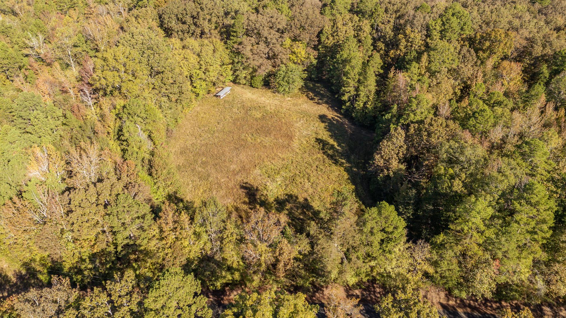 3095 Buster Road Middleton, TN 38052 - Photo 31 of 36 a view of a flowers in a yard