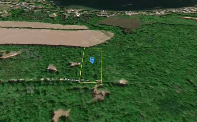 $80,999 | 16299 Williams Wds, Gowen, MI 49326