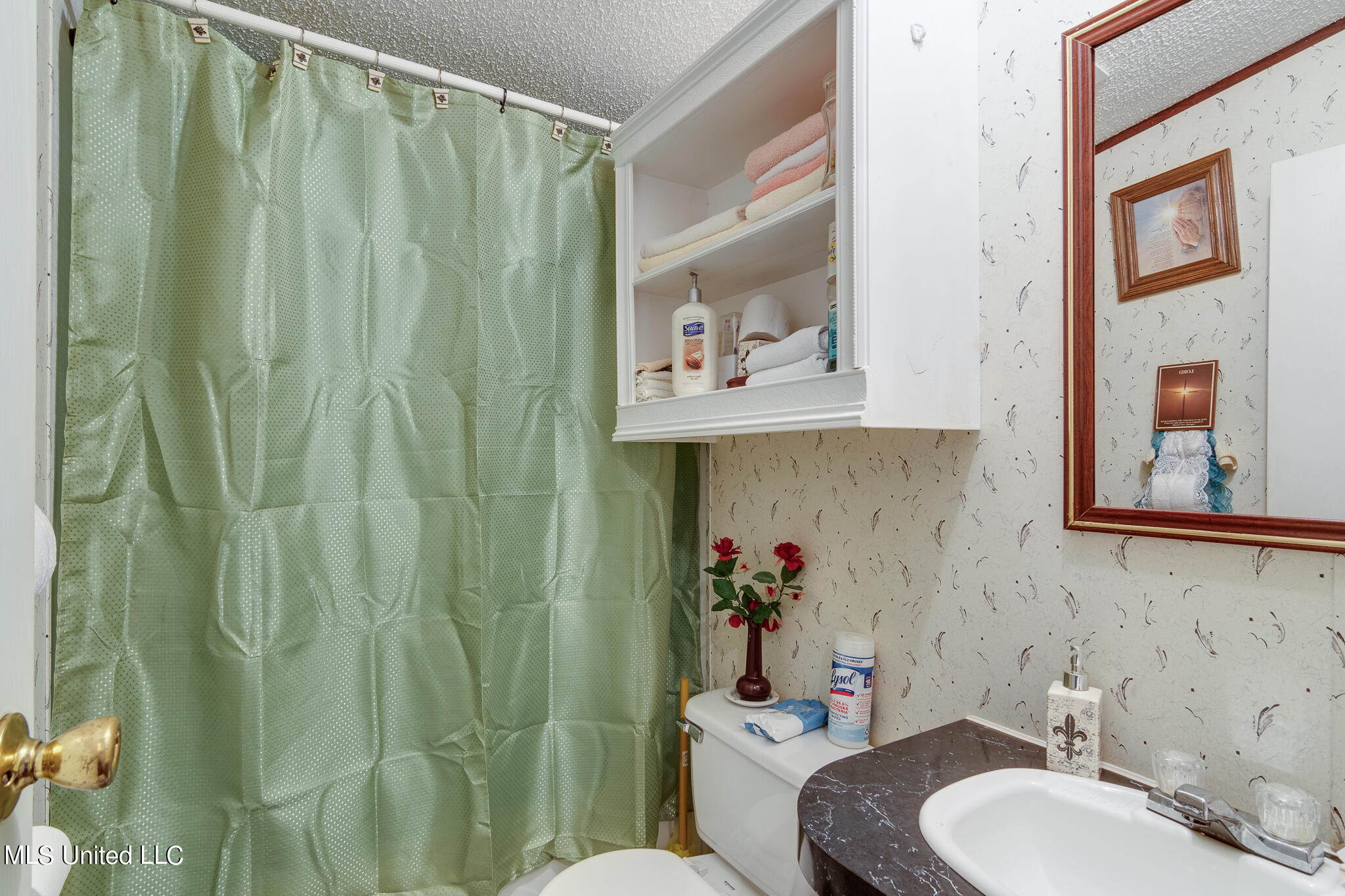 5208 Dubbs Road Dundee, MS 38626 - Photo 28 of 40 5208 Dubbs Road-43