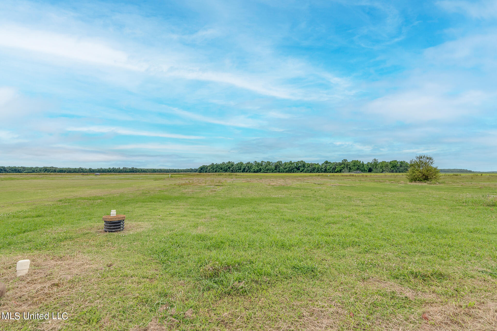 5208 Dubbs Road Dundee, MS 38626 - Photo 30 of 40 5208 Dubbs Road-45