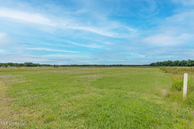 $175,000 | 5208 Dubbs Road, Dundee, MS 38626