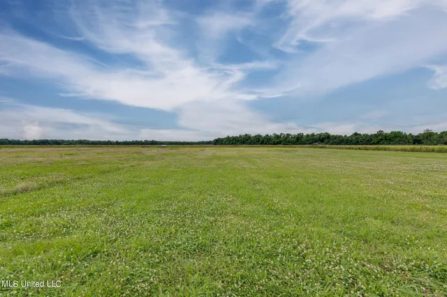 $175,000 | 5208 Dubbs Road, Dundee, MS 38626