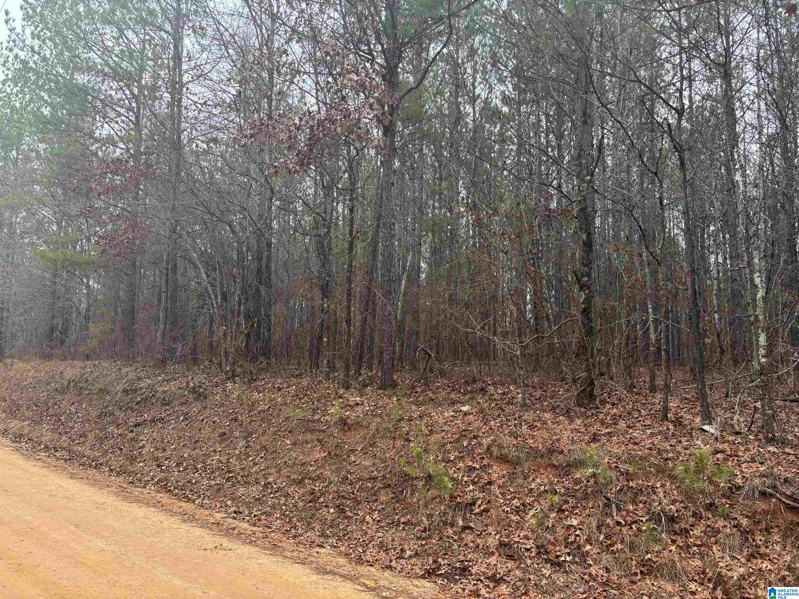 823 County Road, Unit 2 Wadley, AL 36276 - Photo 3 of 7
