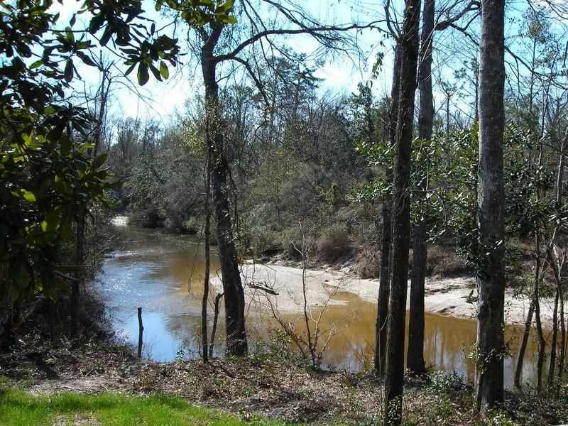 273 Go Go Road Poplarville, MS 39470 - Photo 3 of 16 Gallery Image 3