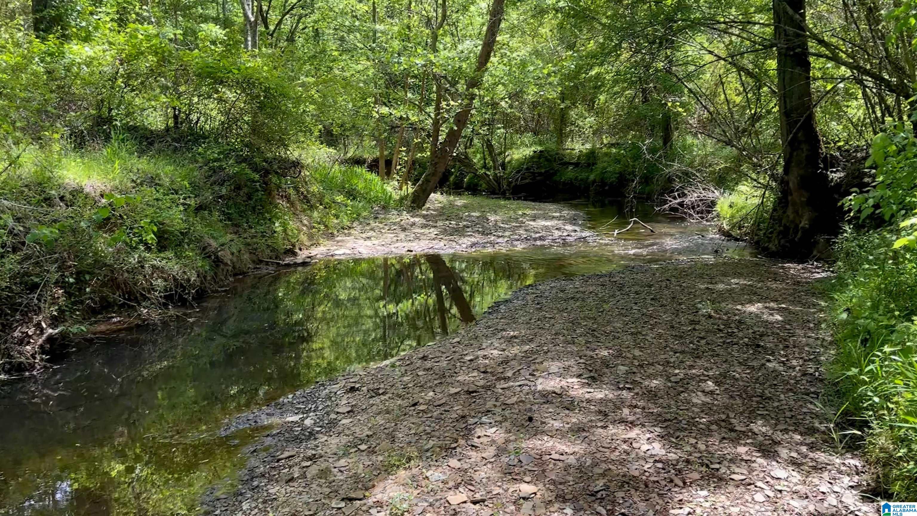 498 Blackwood Road, Unit 14 9 ACRES Parrish, AL 35580 - Photo 48 of 50