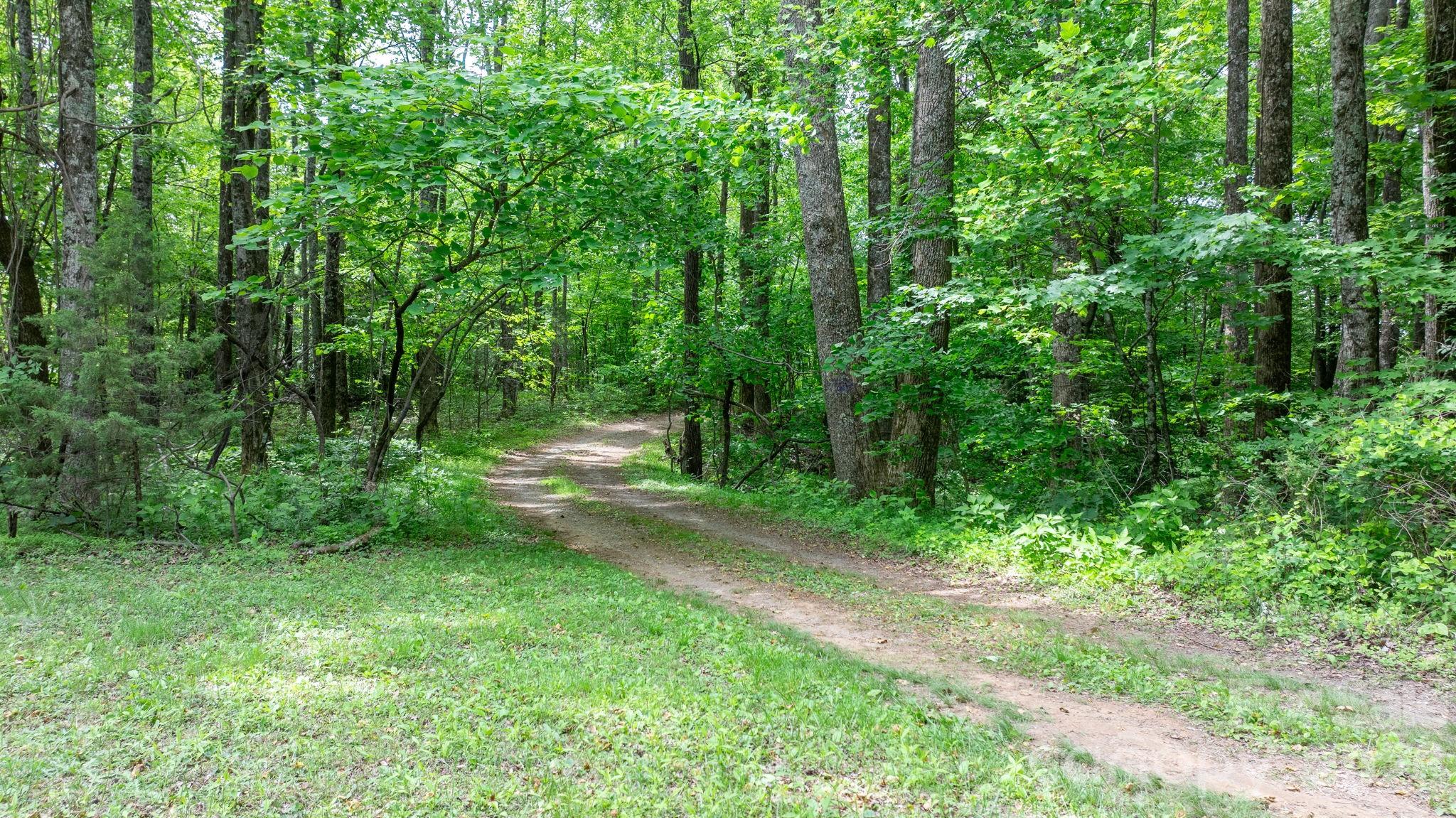 3494 Vannoy Ridge Road Moravian Falls, NC 28654 - Photo 22 of 40
