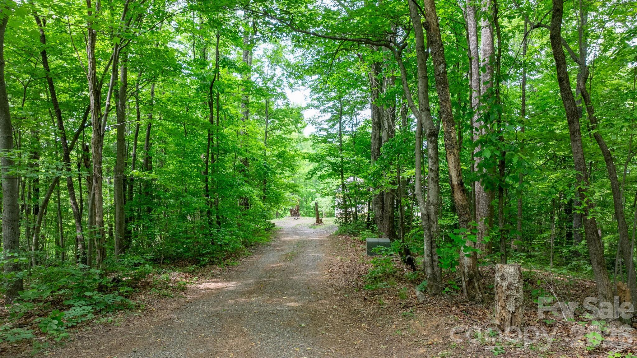 3494 Vannoy Ridge Road Moravian Falls, NC 28654 - Photo 23 of 40