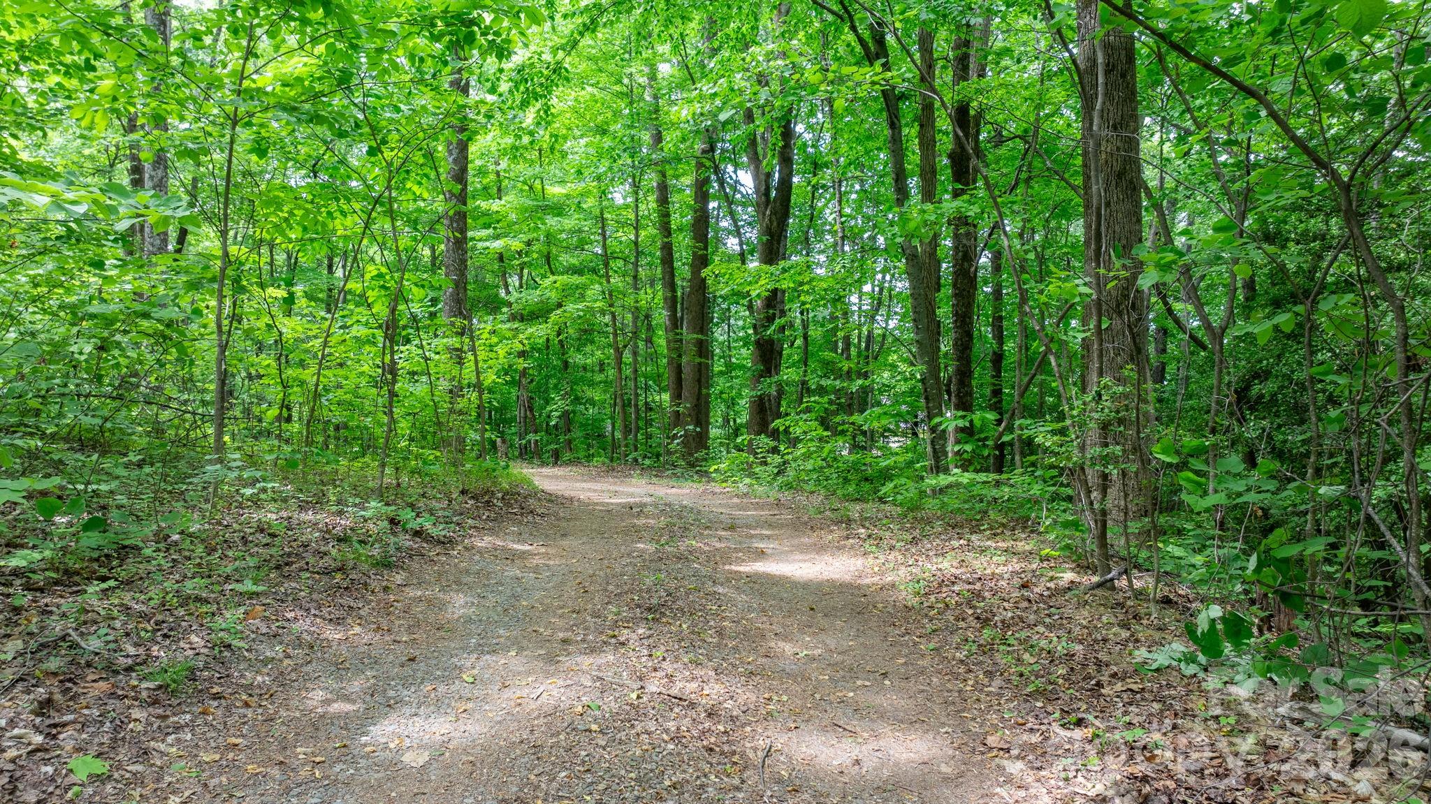 3494 Vannoy Ridge Road Moravian Falls, NC 28654 - Photo 24 of 40