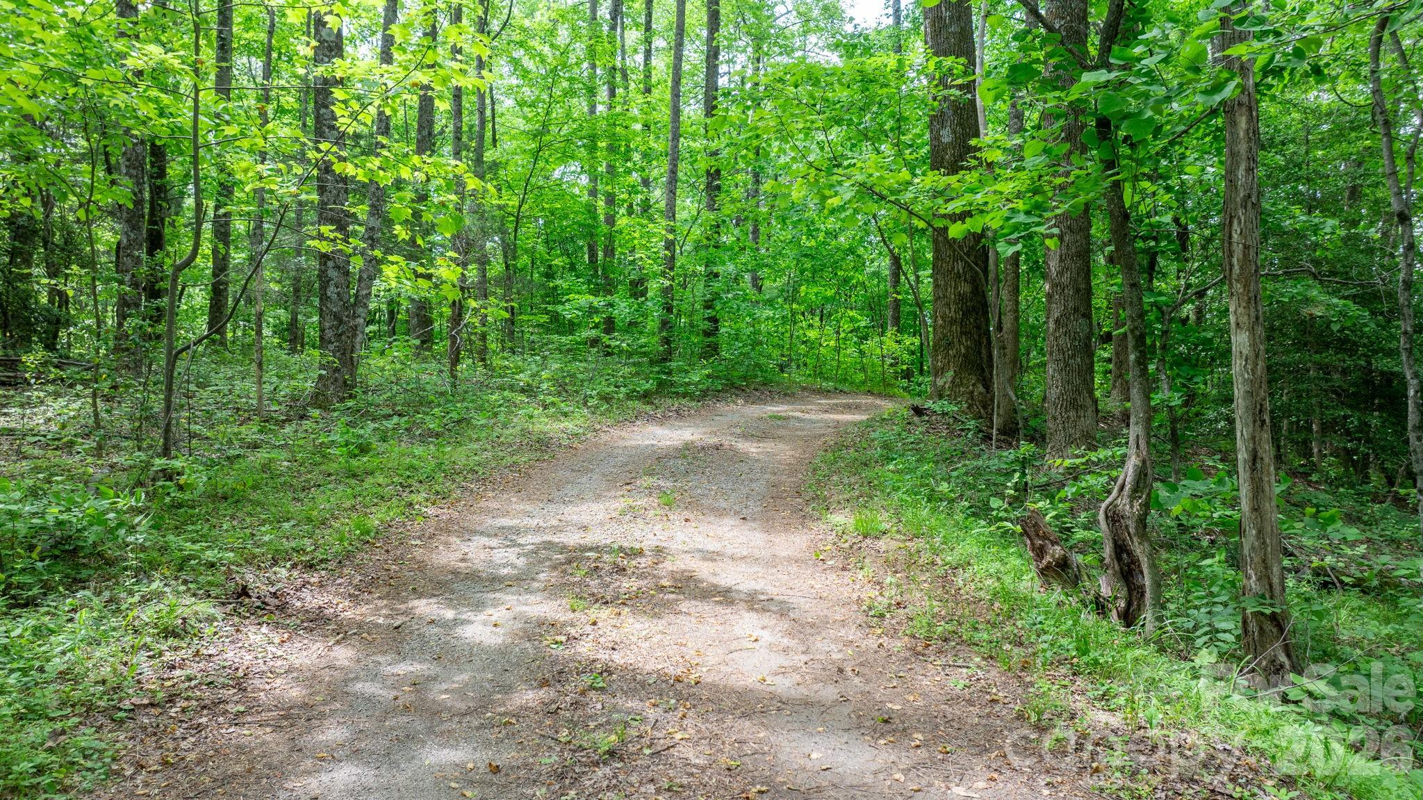 3494 Vannoy Ridge Road Moravian Falls, NC 28654 - Photo 25 of 40
