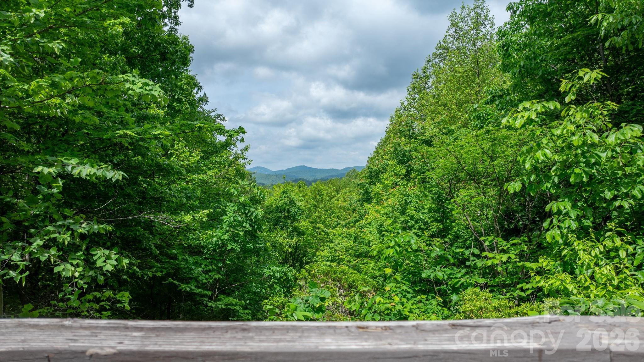 3494 Vannoy Ridge Road Moravian Falls, NC 28654 - Photo 28 of 40