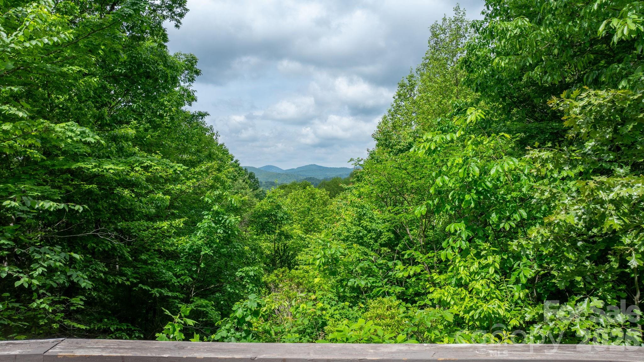 3494 Vannoy Ridge Road Moravian Falls, NC 28654 - Photo 29 of 40
