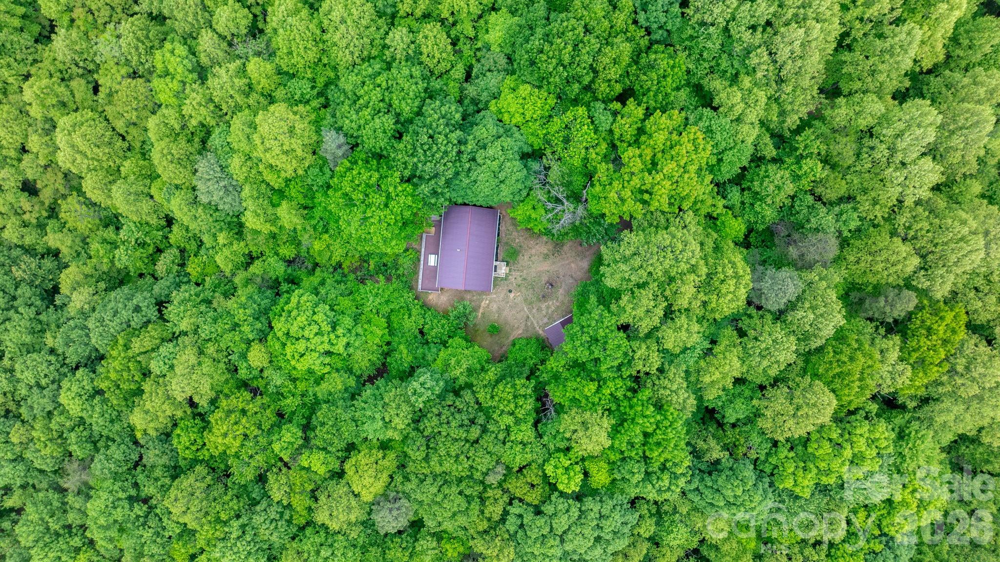 3494 Vannoy Ridge Road Moravian Falls, NC 28654 - Photo 31 of 40