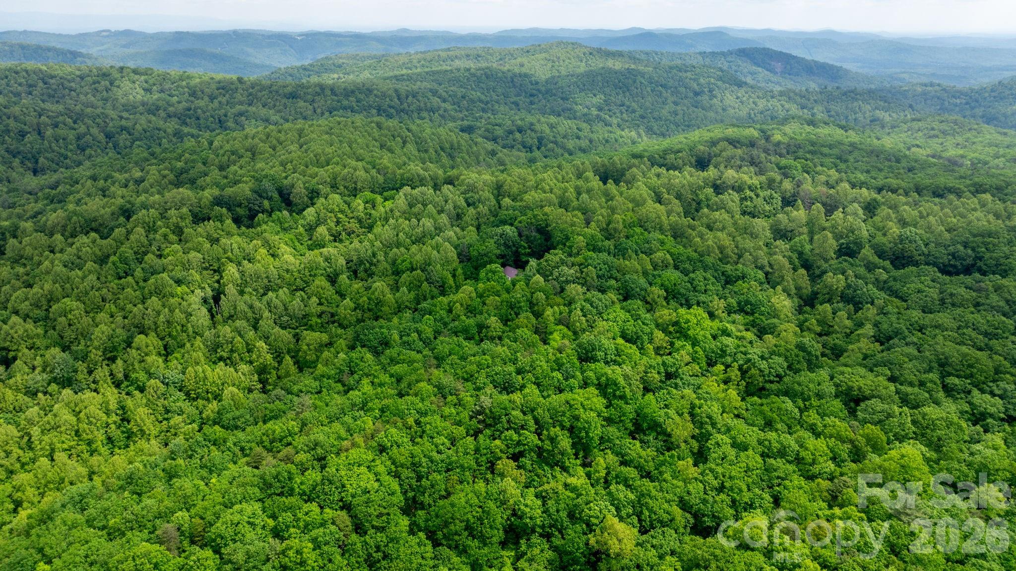 3494 Vannoy Ridge Road Moravian Falls, NC 28654 - Photo 33 of 40