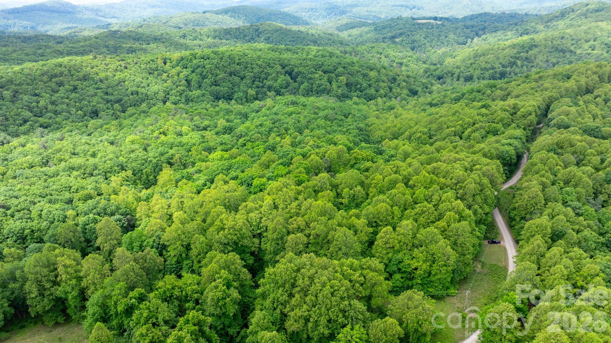 3494 Vannoy Ridge Road Moravian Falls, NC 28654 - Photo 36 of 40