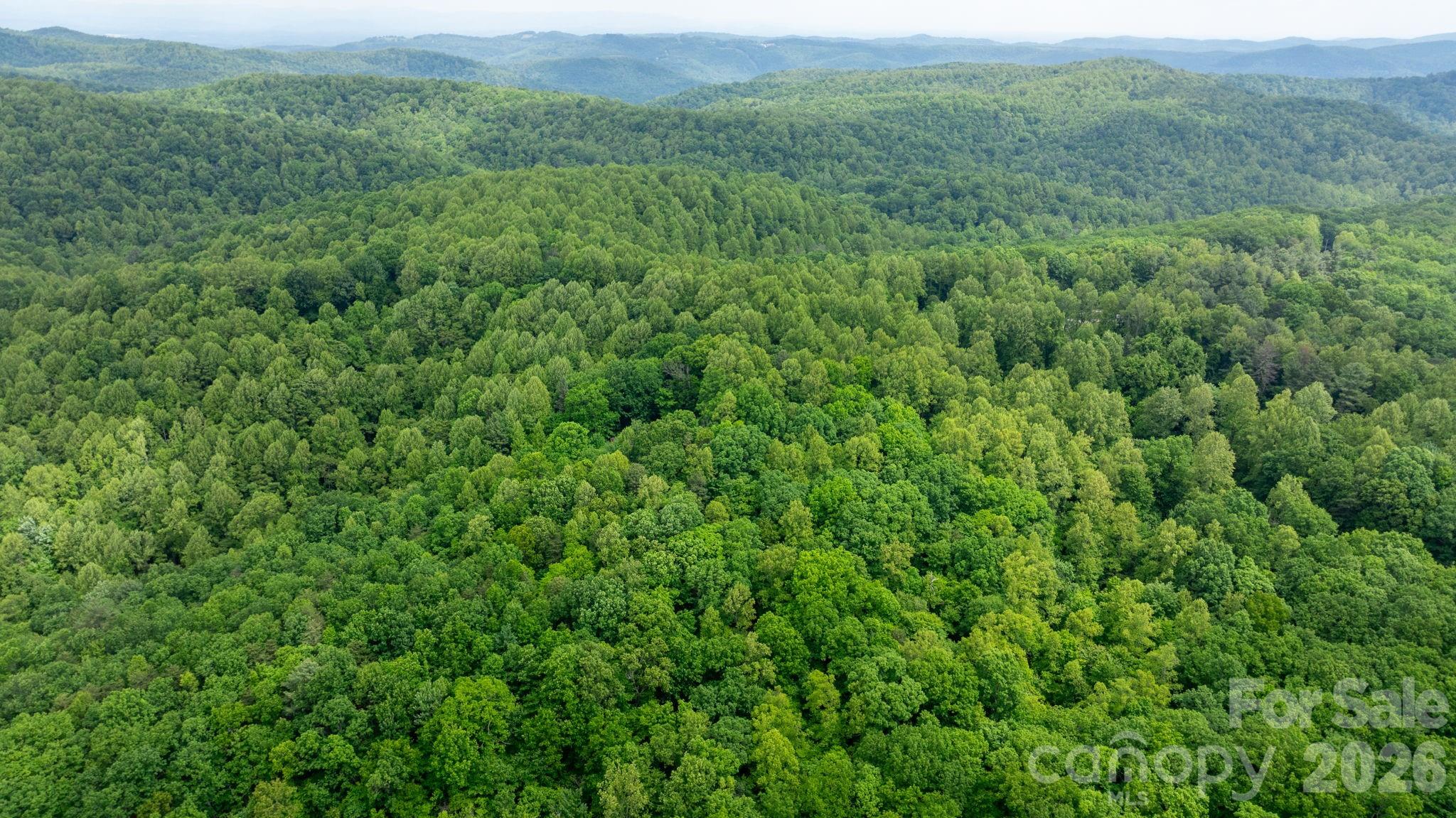 3494 Vannoy Ridge Road Moravian Falls, NC 28654 - Photo 37 of 40