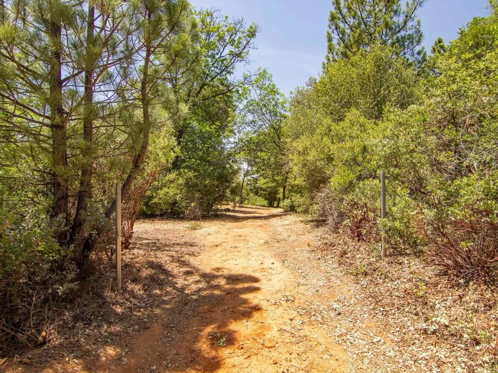 7 West Incense Cedar Road Julian, CA 92036 - Photo 9 of 24
