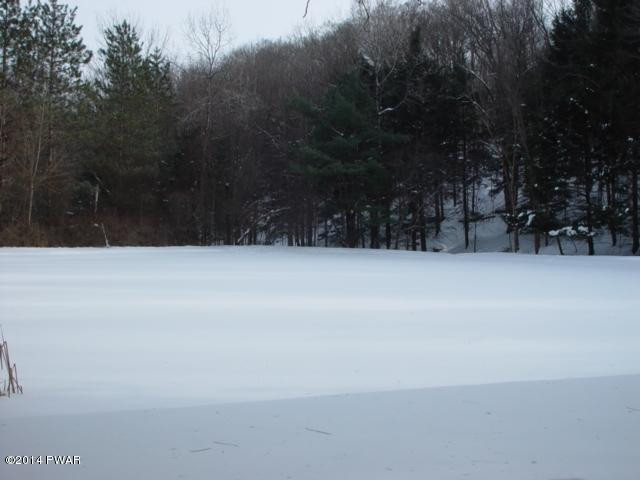 388 Mican Road Waymart, PA 18472 - Photo 22 of 28