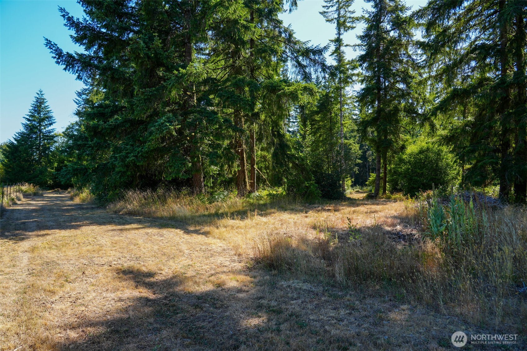 7101 115th Avenue Southwest Olympia, WA 98512 - Photo 11 of 38 a view of a yard with a tree