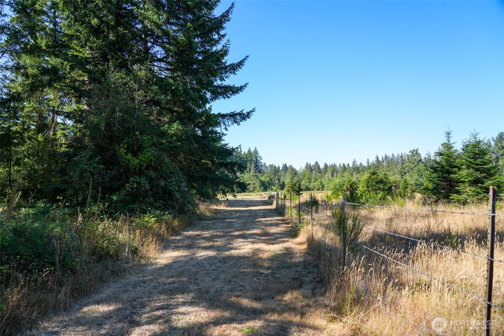 7101 115th Avenue Southwest Olympia, WA 98512 - Photo 12 of 38 a view of river covered by trees and trees