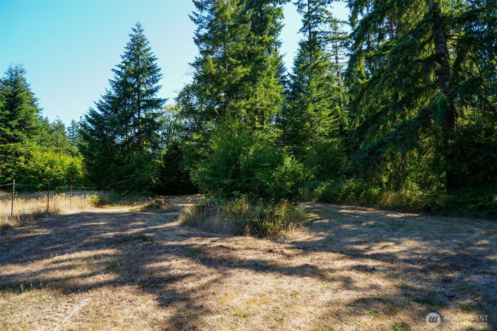 7101 115th Avenue Southwest Olympia, WA 98512 - Photo 14 of 38 a view of a yard with a table and chairs
