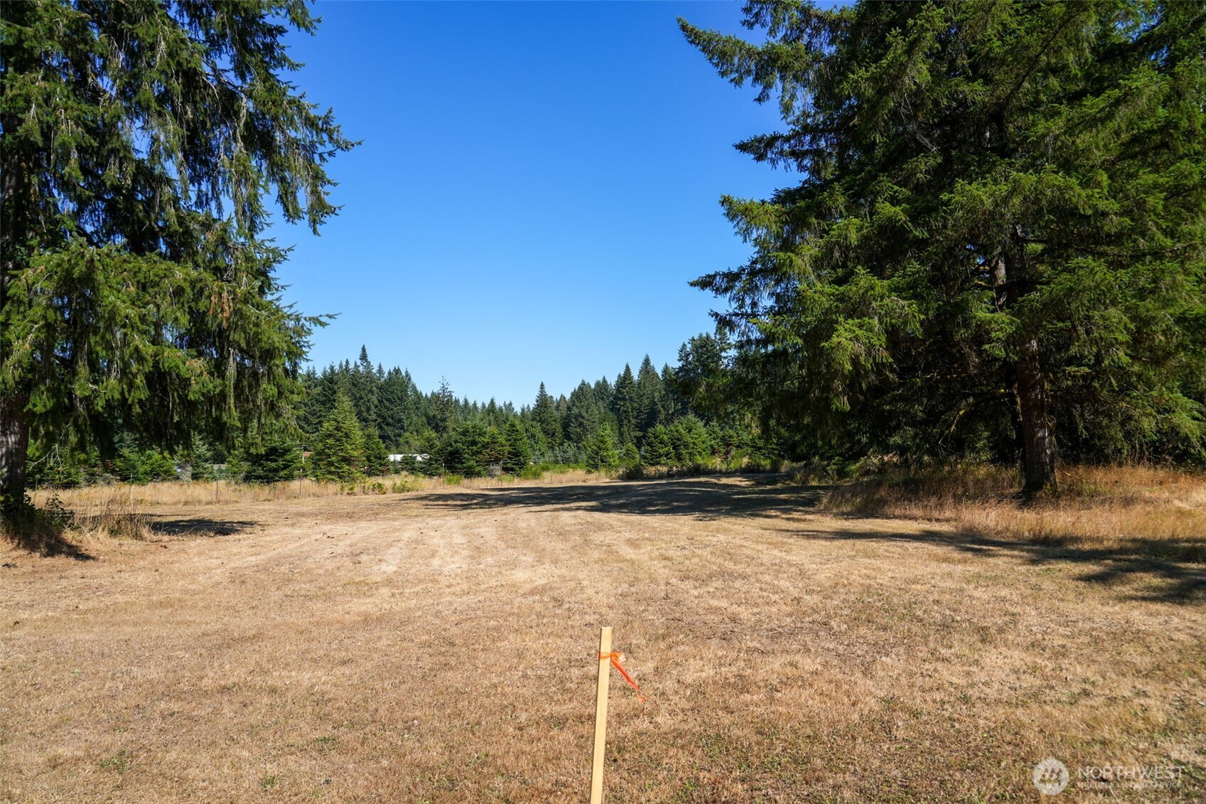 7101 115th Avenue Southwest Olympia, WA 98512 - Photo 18 of 38 a view of empty space with trees