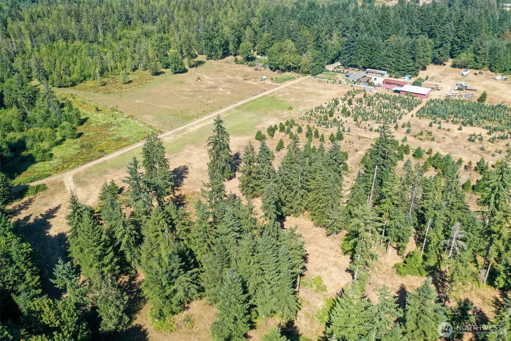 7101 115th Avenue Southwest Olympia, WA 98512 - Photo 23 of 38 a view of a yard with plants and large trees