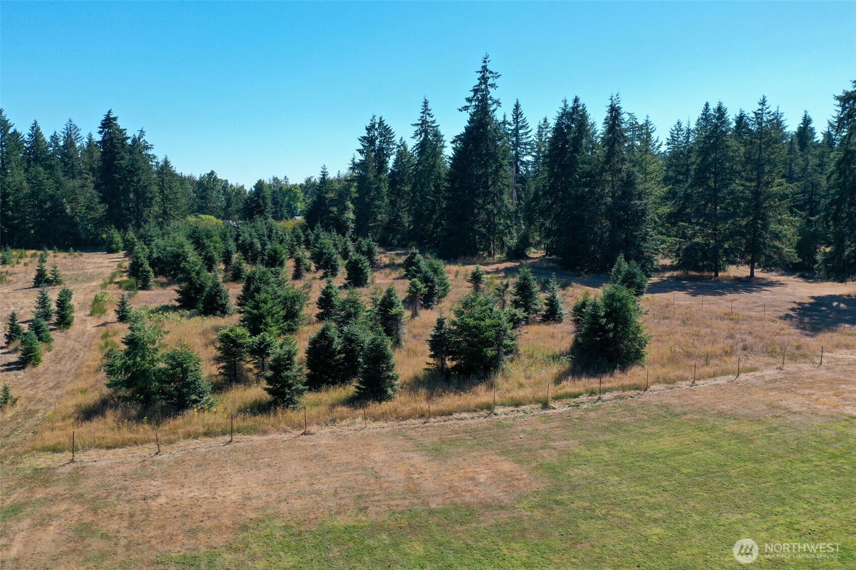7101 115th Avenue Southwest Olympia, WA 98512 - Photo 24 of 38 a view of a yard with trees