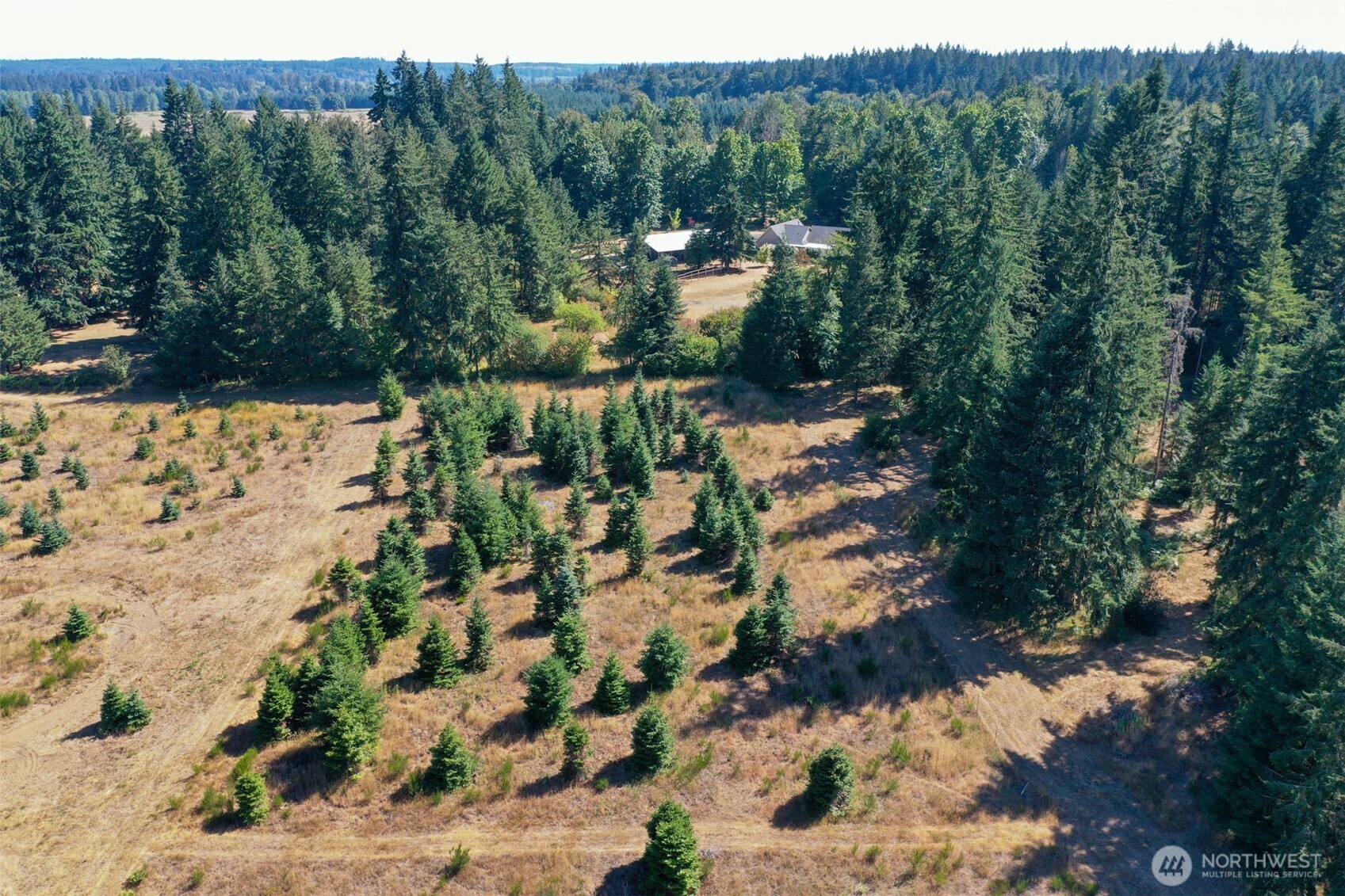 7101 115th Avenue Southwest Olympia, WA 98512 - Photo 25 of 38 a view of a yard with wooden fence