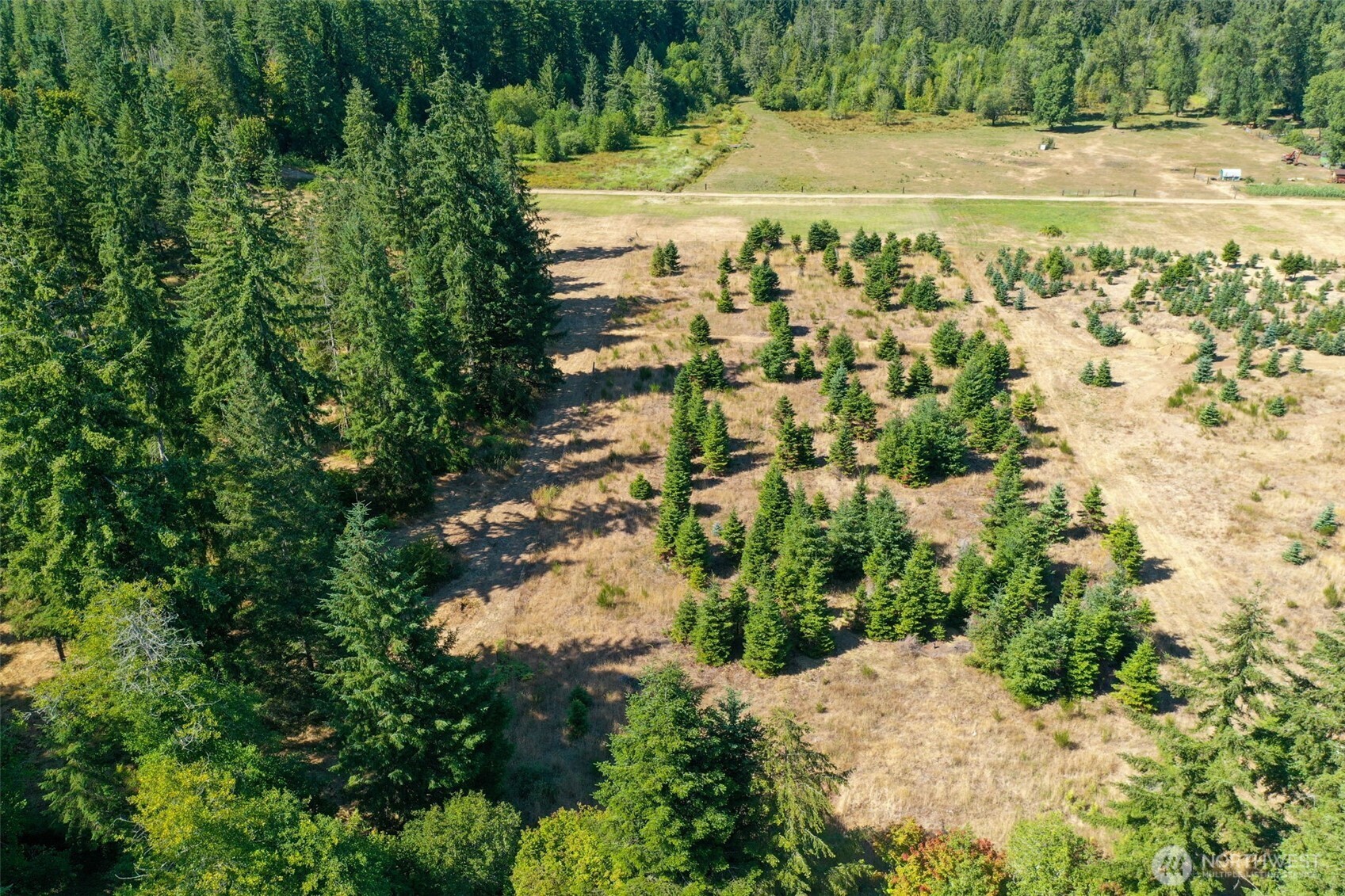 7101 115th Avenue Southwest Olympia, WA 98512 - Photo 26 of 38 a view of a yard with an outdoor space