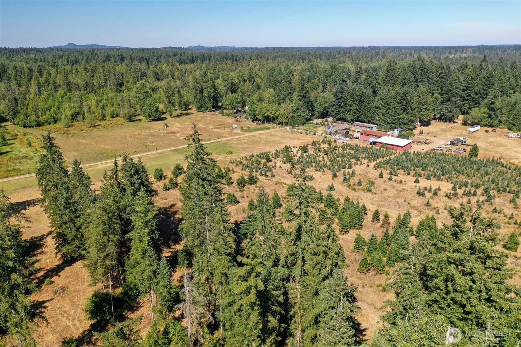 7101 115th Avenue Southwest Olympia, WA 98512 - Photo 27 of 38 a view of a yard with a tree