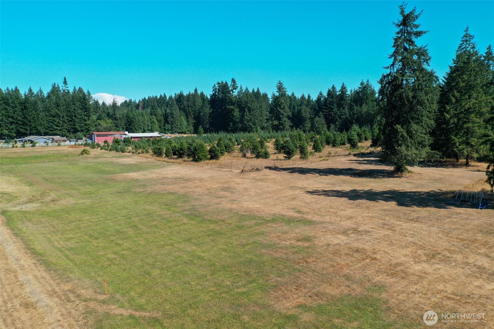 7101 115th Avenue Southwest Olympia, WA 98512 - Photo 28 of 38 a backyard of a house with lots of green space