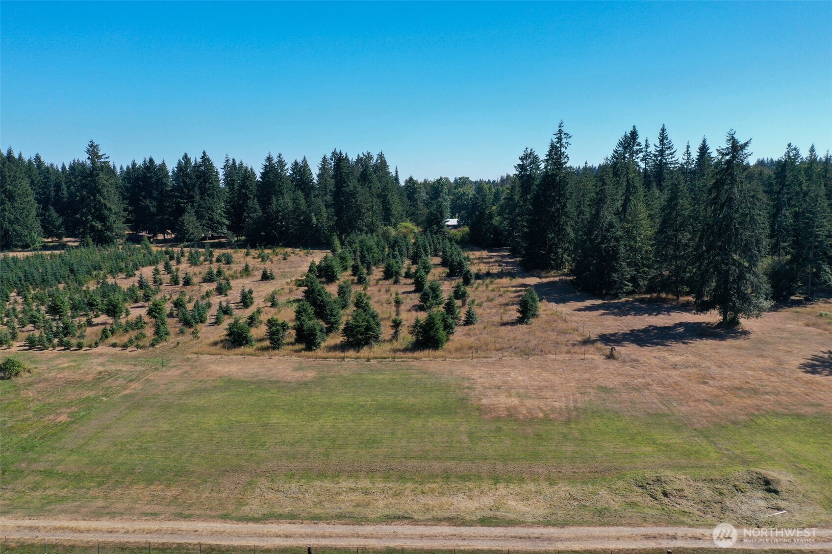 7101 115th Avenue Southwest Olympia, WA 98512 - Photo 29 of 38 a view of a park with large trees