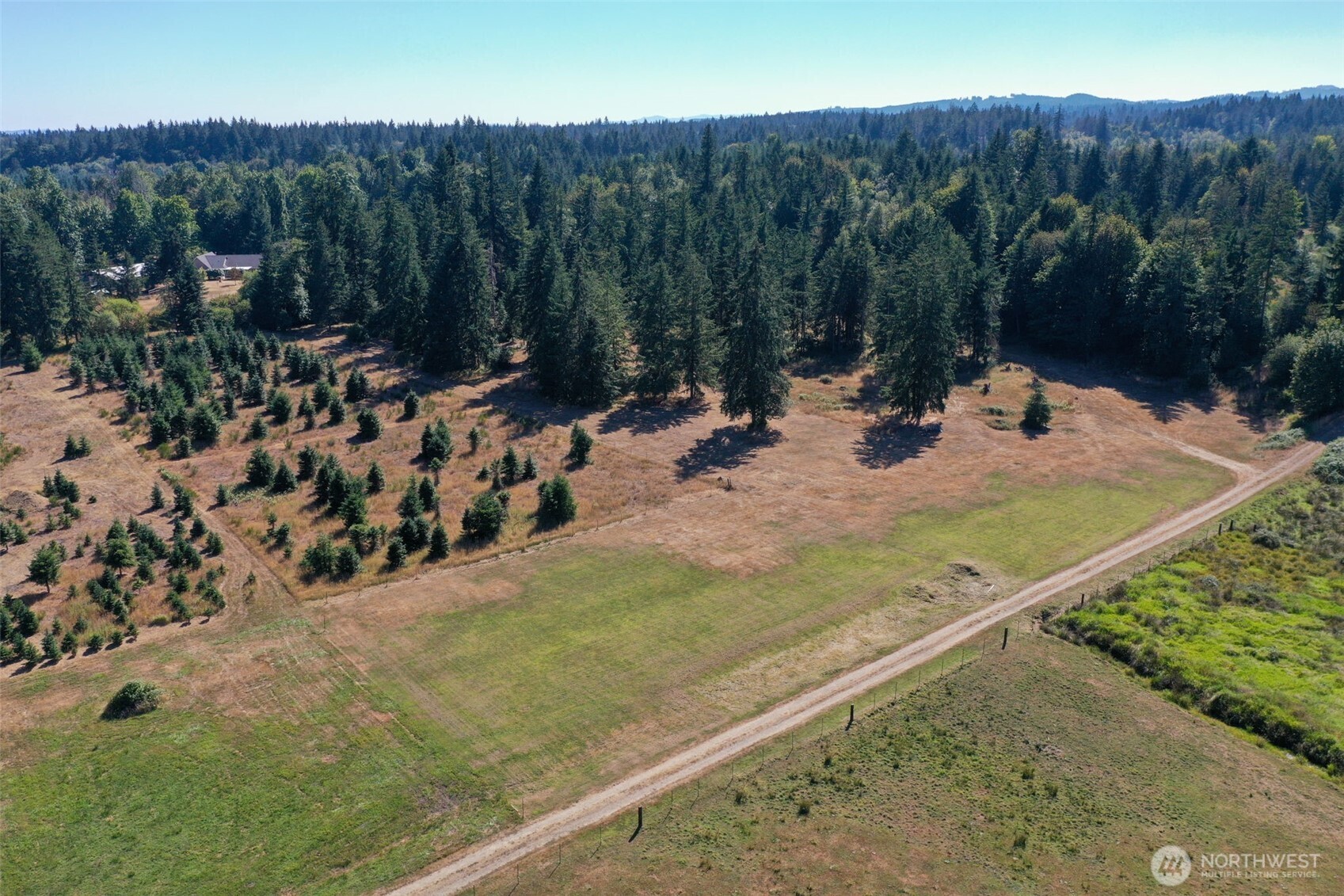 7101 115th Avenue Southwest Olympia, WA 98512 - Photo 30 of 38 a view of a backyard with plants