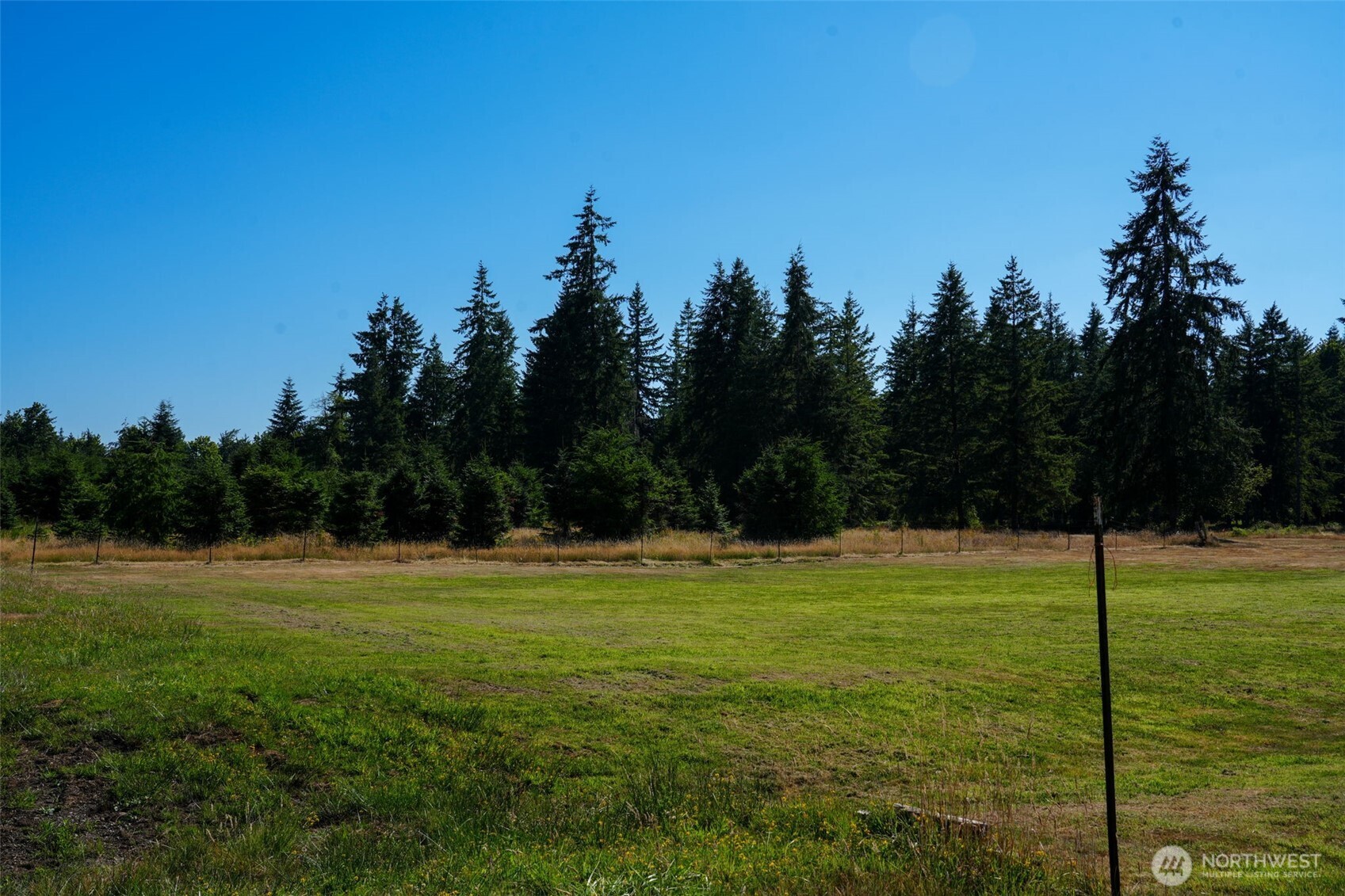 7101 115th Avenue Southwest Olympia, WA 98512 - Photo 3 of 38 a view of a field with a tree in the background