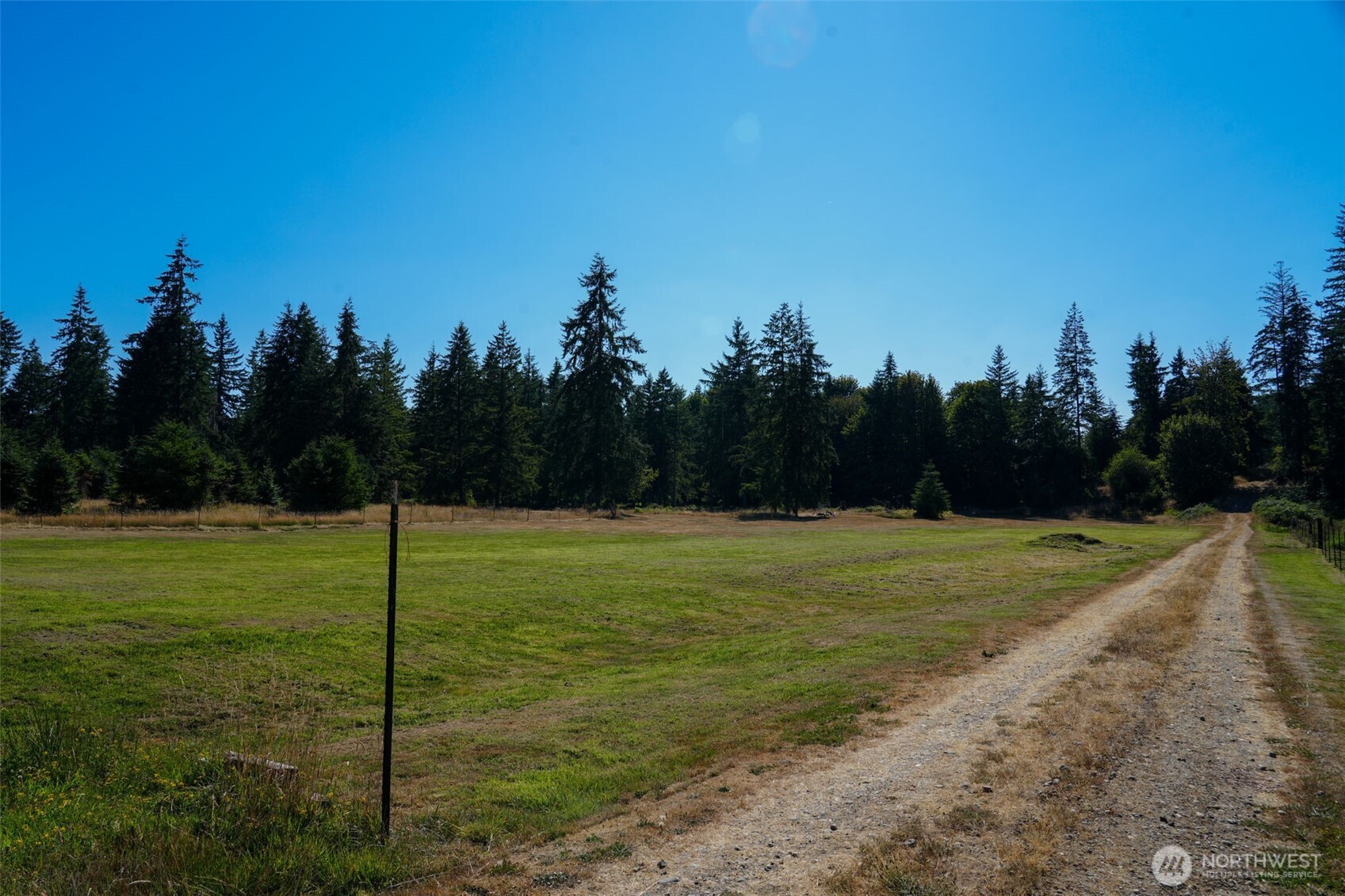 7101 115th Avenue Southwest Olympia, WA 98512 - Photo 4 of 38 a yard with lots of trees in the background